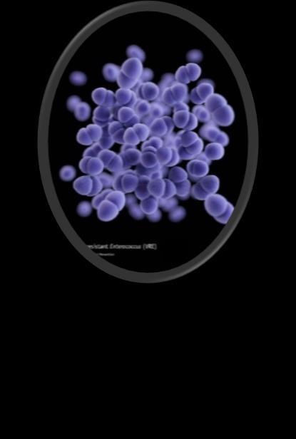 VRE Vancomycinresistenta enterokocker Tarmbakterie Smittar via kontakt -