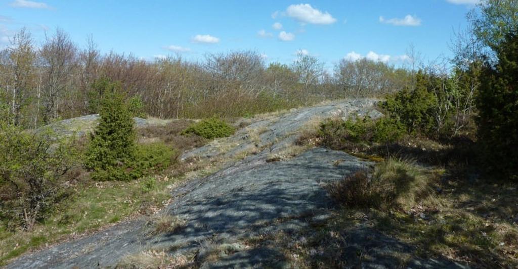 SANDSTRÖM största delen av uppskattningsvis 2-4 m höga branter, lokalt med utfallna block vid släntfot, se foto 8.
