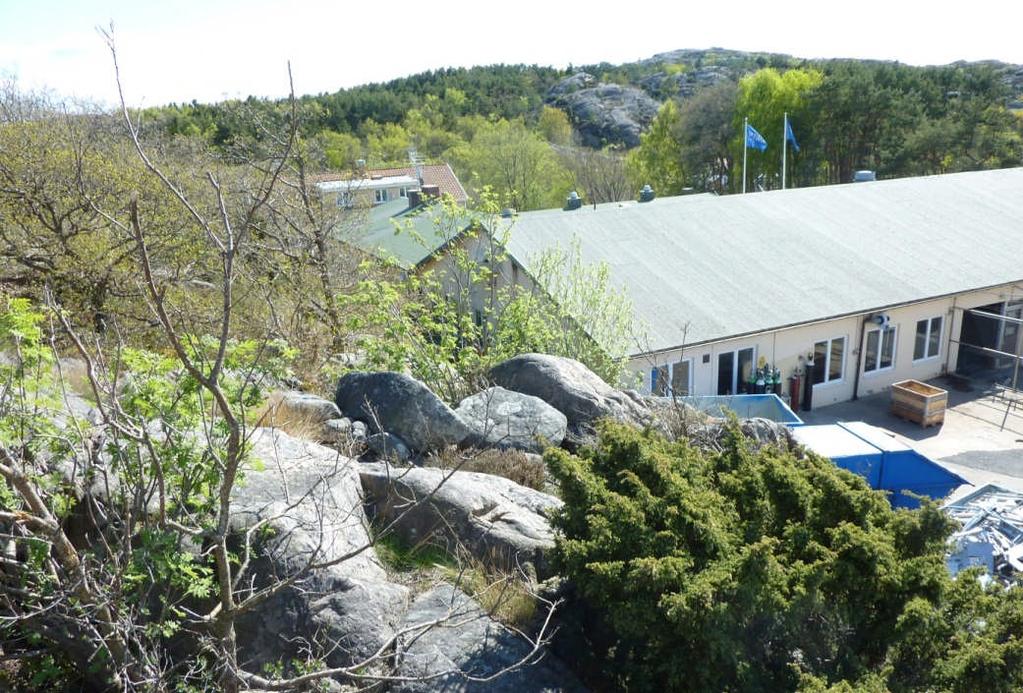 SANDSTRÖM Foto 11. Berget ovanför bebyggelsen med löst liggande. Området är att betrakta som ett högriskområde.