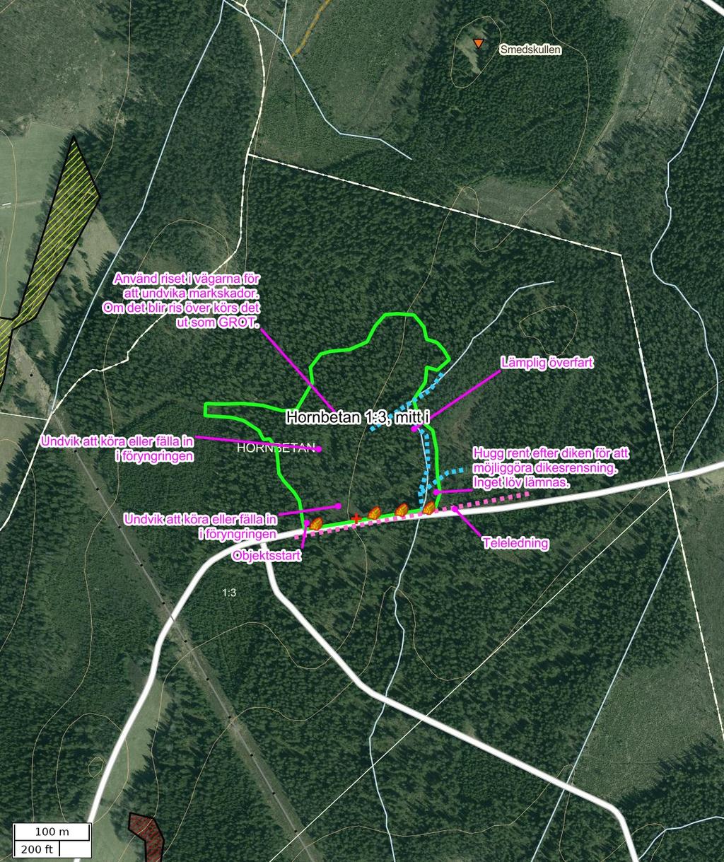 Traktdirektiv 2018-08-14 10:13 Hornbetan 1:3, mitt i Hushållningssällskapet Skog Detaljkarta Skala: ~1:5000