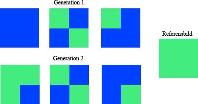 Ovanstående citat är skrivet för att gälla genetiska algoritmer men själva principen är densamma även för genetisk programmering utifrån en grupp väljs de starkaste individerna ut och det är dessa