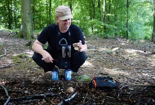 svampaktiviteter, fördjupning i naturvårdsarter i taigamiljö och andra skogsrelaterade aktiviteter på olika håll i landet.