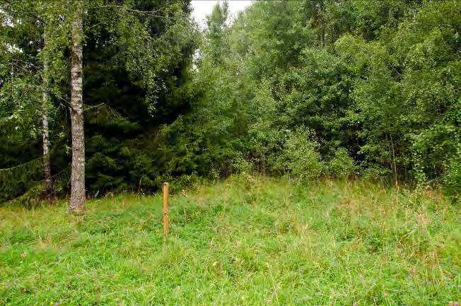 torrträd och lågor av körsbär. Död ved: Högstubbe av gran och tall, torrträd av ek, Buskskikt: Glest buskskikt. Dominerande arter i fältvegetation: Blåbär och örnbräken.