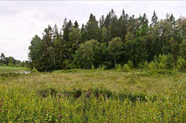 Växjö travbana 1. 3 Beskrivning: Varierat område, gles tallskog, äng och längst i syd ett kärr. Naturvärde: 5 Datum: 2012-07-30 Biotop: Dominerande trädslag: Tall. Övriga trädslag: Björk.