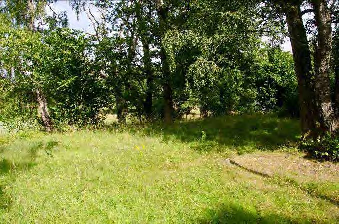 Dominerande arter i fältvegetation: Övriga arter i fältvegetationen: Bockrot, åkervädd, bergsyra, ängsskallra, liten blåklocka, ängssyra, röllika, kråkvicker, gullris, fyrkantig
