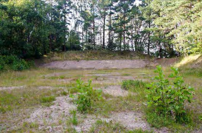 Dominerande arter i fältvegetation: Blåbär. Övriga arter i fältvegetationen: Liljekonvalj, harsyra, smultron, skogsklöver, stinsyska, brännässla, ekbräken, majbräken och missne.