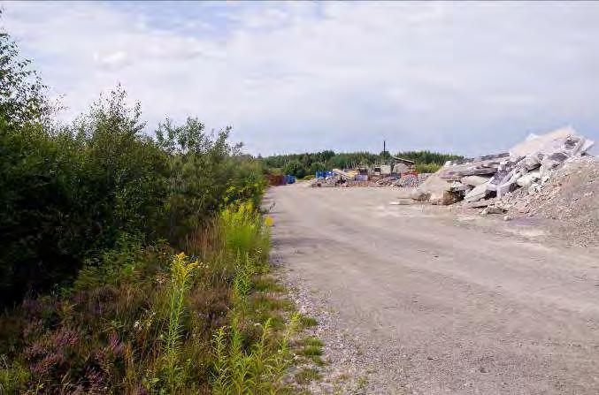 Fransborg N. om Öjaby 4 Beskrivning: Grustäckt, sandig mark. Frodig vegetation på matjordshögar och vid kanterna. Naturvärde: 7 Datum: 2012-08-05 Biotop: Pionjärmiljö.