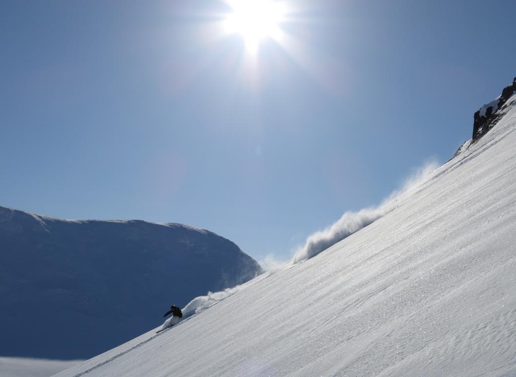 Alpine Carving Skating Randonee Rail