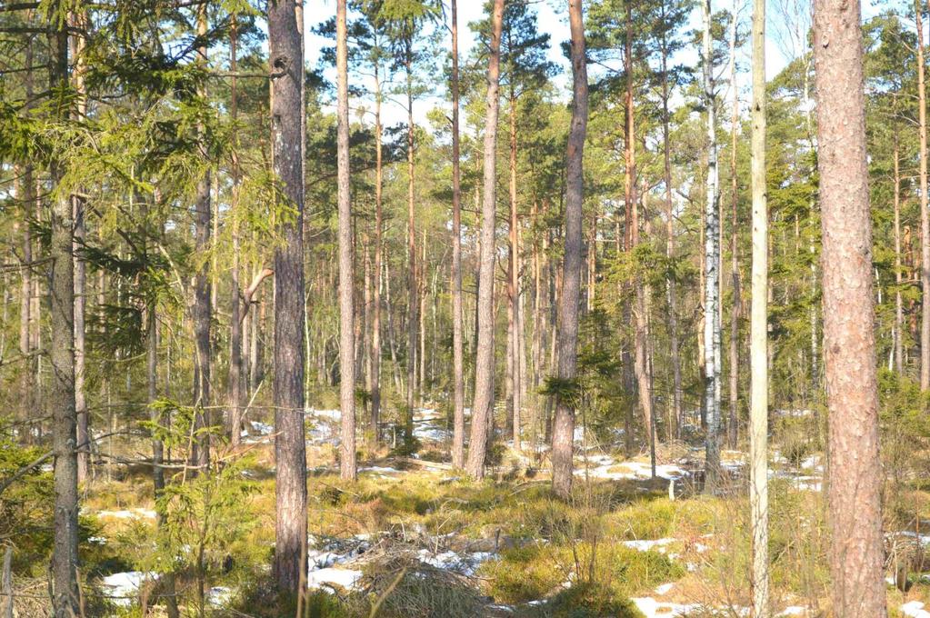 Visning Det är var och en fritt att besiktiga fastigheten. Respektera pågående markanvändning, djurskötsel, jakt mm. Välkommen!
