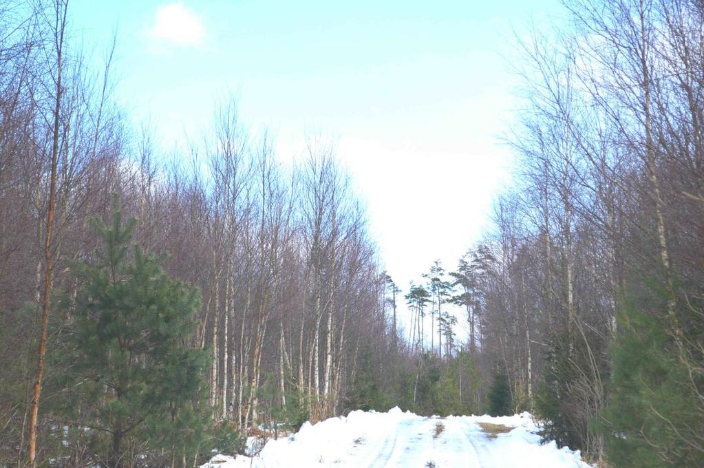 Om Skog & Lantbruk Skog & Lantbruk är ett rådgivningsföretag som arbetar med följande tjänster: - Fastighetsförmedling - Generationsskifte - Marknads-/avkastnings-/intrångsvärderingar -