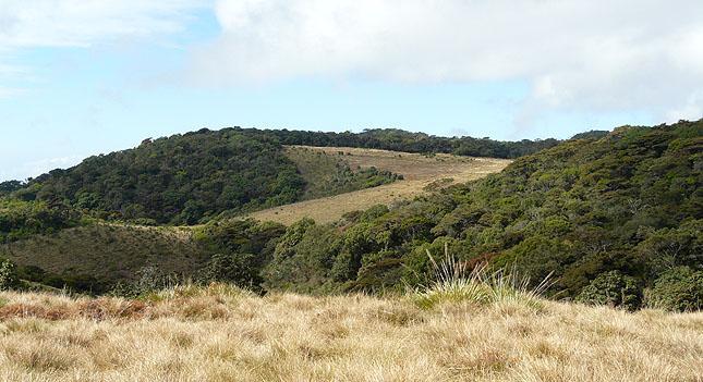 Horton Plains en av alla vackra parker på ön. Foto: Göran Pettersson Dag 13: Vi startar mycket tidigt och tar med picknick-frukost för att vara i Horton Plains National Park i gryningen.