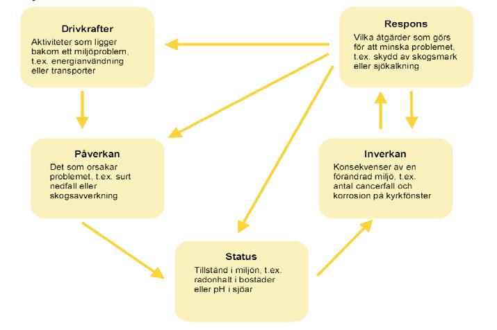 Europeiska miljöbyrån (EEA) använder informationsmodellen DPSIR 1 där D står för drivkrafter (Drivers) och består av ekonomisk statistik och annan information om samhällets utveckling som behövs för