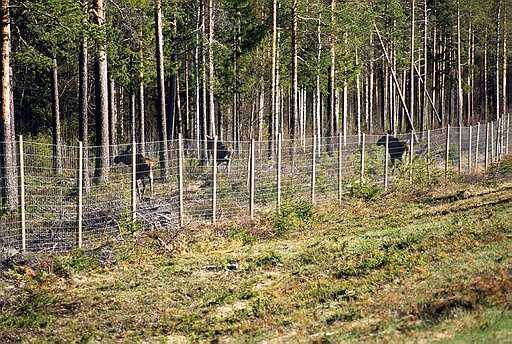 Bländskydd Vägmärken, trafikanordningar