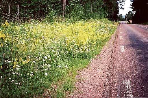 Sidoområden Fri sikt, fri höjd Vägrenar,