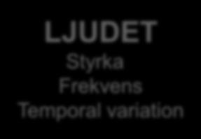 STÖRNING INDIVIDEN
