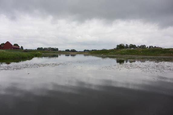 våren 2017 Lokaler samt fångst av fisk i Lidan/Dofsangrenen vid anlagd våtmark/damm