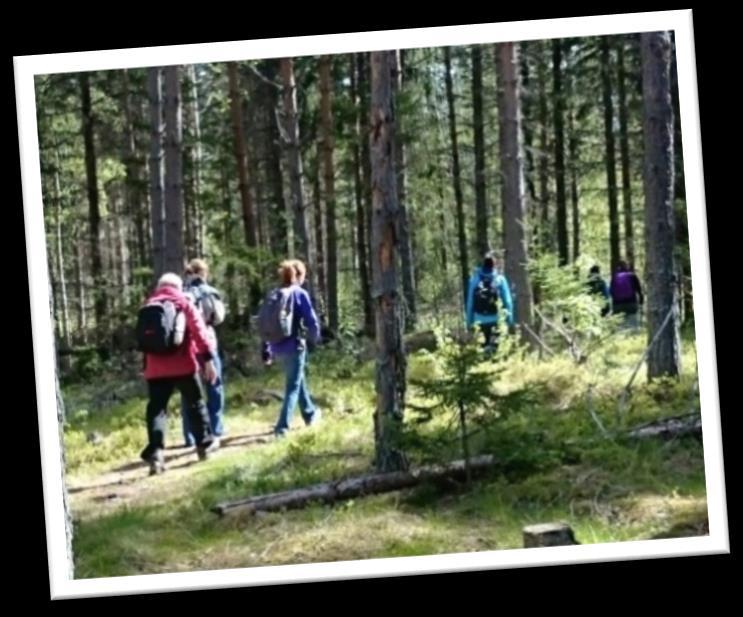 Etapp 1 Hedemora Garpenberg ca 25 km (By Folkärna går från Folkärna kyrka till Garpenberg och Avesta Grytnäs går från Grytnäs kyrka till Garpenberg) Efter sändning i Hedemora kyrka mot Grådö via