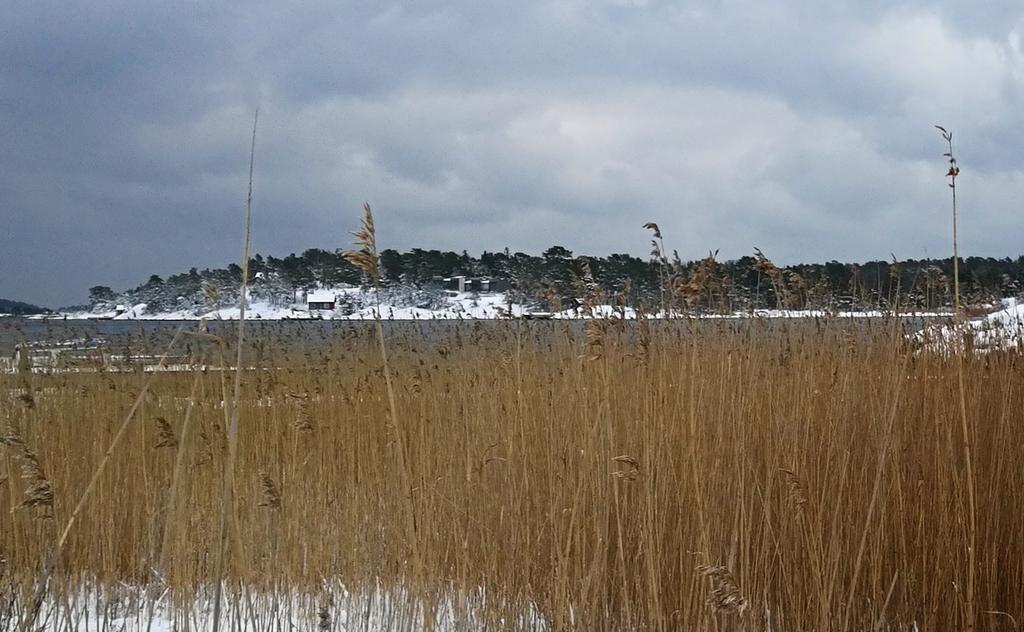 Skärgårdens Intresseföreningars KontaktOrganisation Årsmöte lördag 17 februari