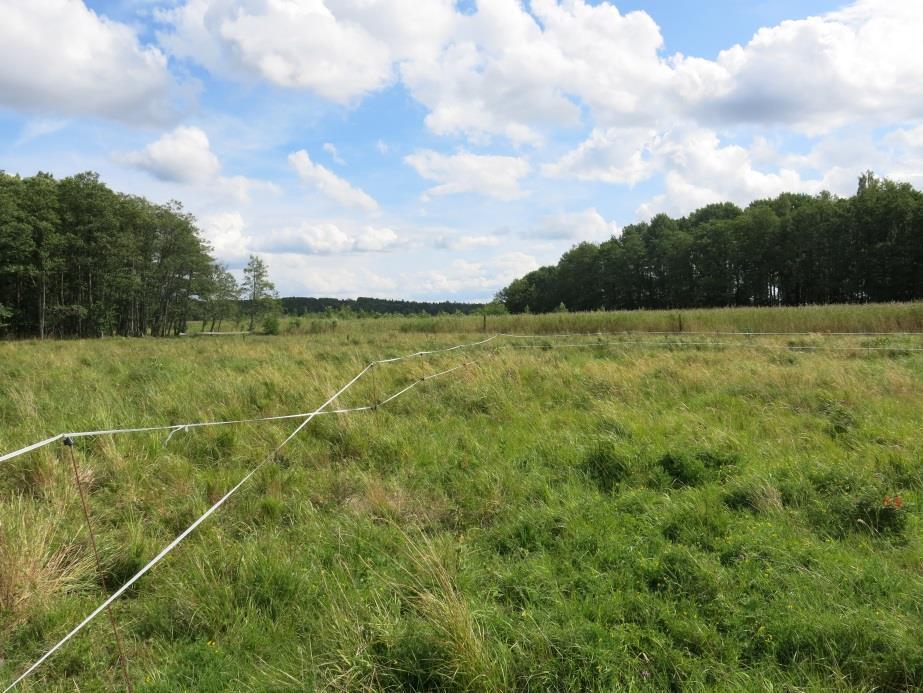 Bakgrund Inre Mälarens skärgård - restaurering och skötsel (MIA-projektet) är ett EU-finansierat projekt som drivs av Länsstyrelsen i Västmanlands län (huvudpartner), Länsstyrelsen i Södermanlands
