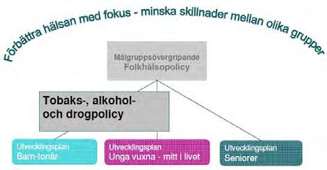BOTKYRKA KOMMUN 2012-03-06 TOBAK, ALKOHOL- OCH NARKOTIKAPOLICY FÖR BARN- OCH UNGDOMSVERKSAMHETERNA I BOTKYRKA Syftet med policyn är att tydliggöra personalens och andra vuxnas exempelvis ledares