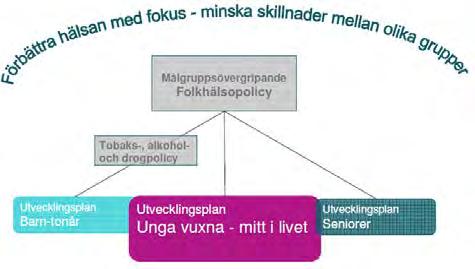 BOTKYRKA KOMMUN UTVECKLINGSPLAN FOLKHÄLSA UNGA VUXNA, MITT I LIVET 2012-16.