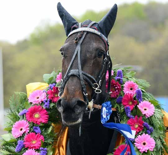 HalmstadTravet Måndag maj Första start kl 8.