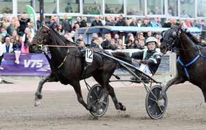 MONTÉKVAL/KVAL KVALTIDER.8,0 - -åriga.,0 - -åriga.,0 - -åriga & äldre.,0 - montékval OBS! INGET SPEL I DETTA LOPP MÖRKBRUN start. KVAL/PREMIELOPP LJUSBLÅ start 8.00 KVALTIDER.8,0 - -åriga.,0 - -åriga.,0 - -åriga & äldre.,0 - montékval PREMIETIDER -åriga.