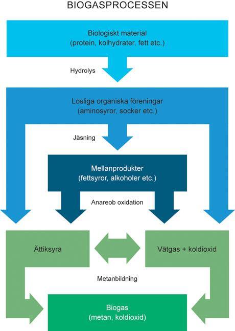 Hygienisering Då vi använder substrat med animaliskt ursprung i vår anläggning måste det hygieniseras innan rötning.
