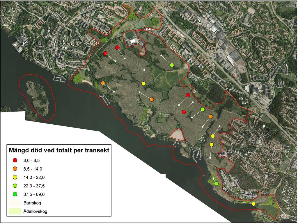 Grimsta naturreservat Död ved i Stockholms