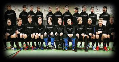 Med en tuff oavgjord match på frislagsvariant mot Halland i slutsekunderna (dröm-scenariot skapat av ass. Kapten Fille) så var ändå SDF-SM drömmen nästintill uppfylld.