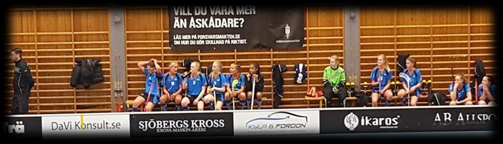 1-serien bestod av tio (10) lag, med Team Kalix IBK B som räknades bort ur serien när den var färdigspelad. Seriesegrare blev Team Kalix IBK A som gick till förbundskval till Damallsvenskan.