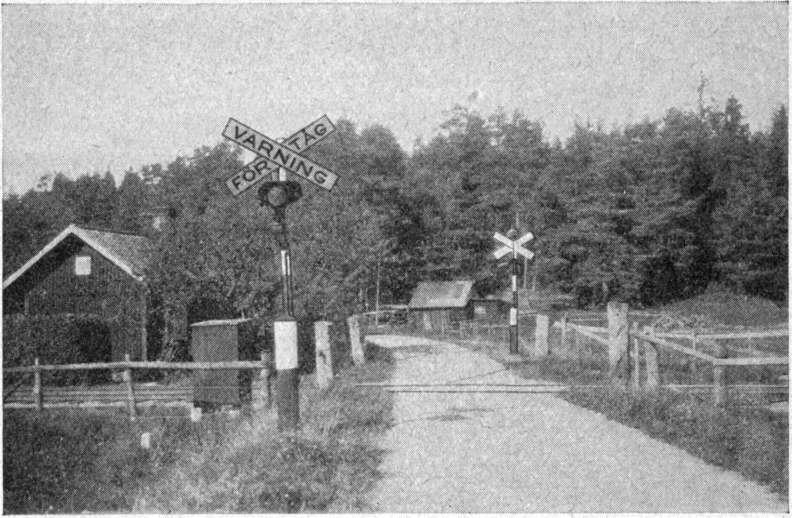 ljuskälla, omkring 10 meter framför signalen, och får fordonet icke åter igångsättas, förrän föraren iakttagit, att signalen övergått till att visa vitt sken.