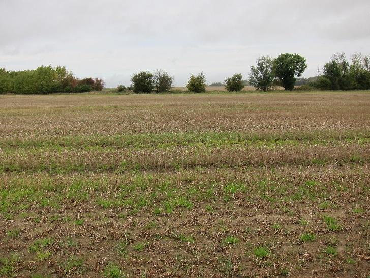 5 Kväve (kg/ha) 3 2 1 Fosfor (kg/ha).4.3.2.1 M39 M42 M36 Figur 18.