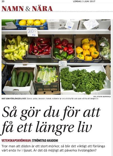 10 Articles