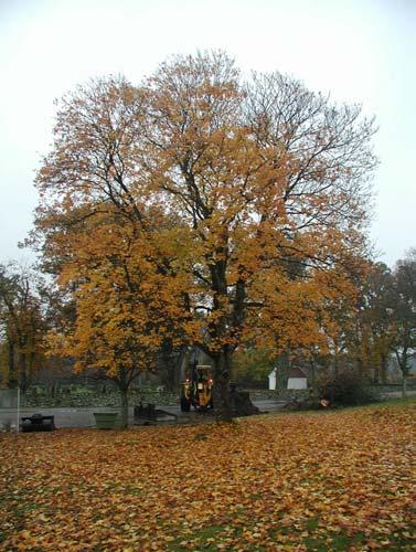 P-plats Hjortsberga kyrka Hjortsberga socken, Ronneby kommun