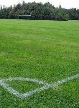 buskarnas stammar Växterna ska helst ha etablerat sig innan täckbark läggs över markytan (6-12 mån efter plantering) UPPBYGGNAD SPORTYTA 80/20 0741 Rotogräsfri, finsiktad sand- och