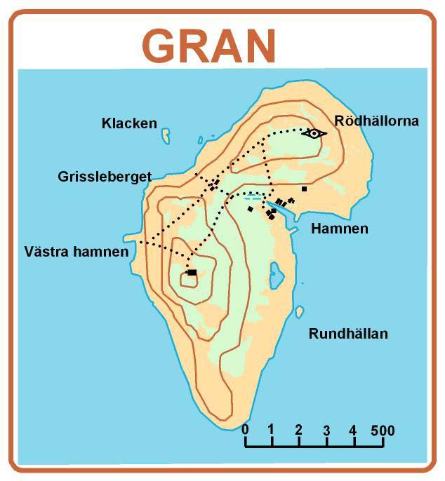 och sillgrissla ses med störst antal i norr, men även här finns gott om tobisgrissla. Silveroch fisktärnor, fiskmåsar och silltrutar finns utspridda i kolonier längs hela nordstranden.
