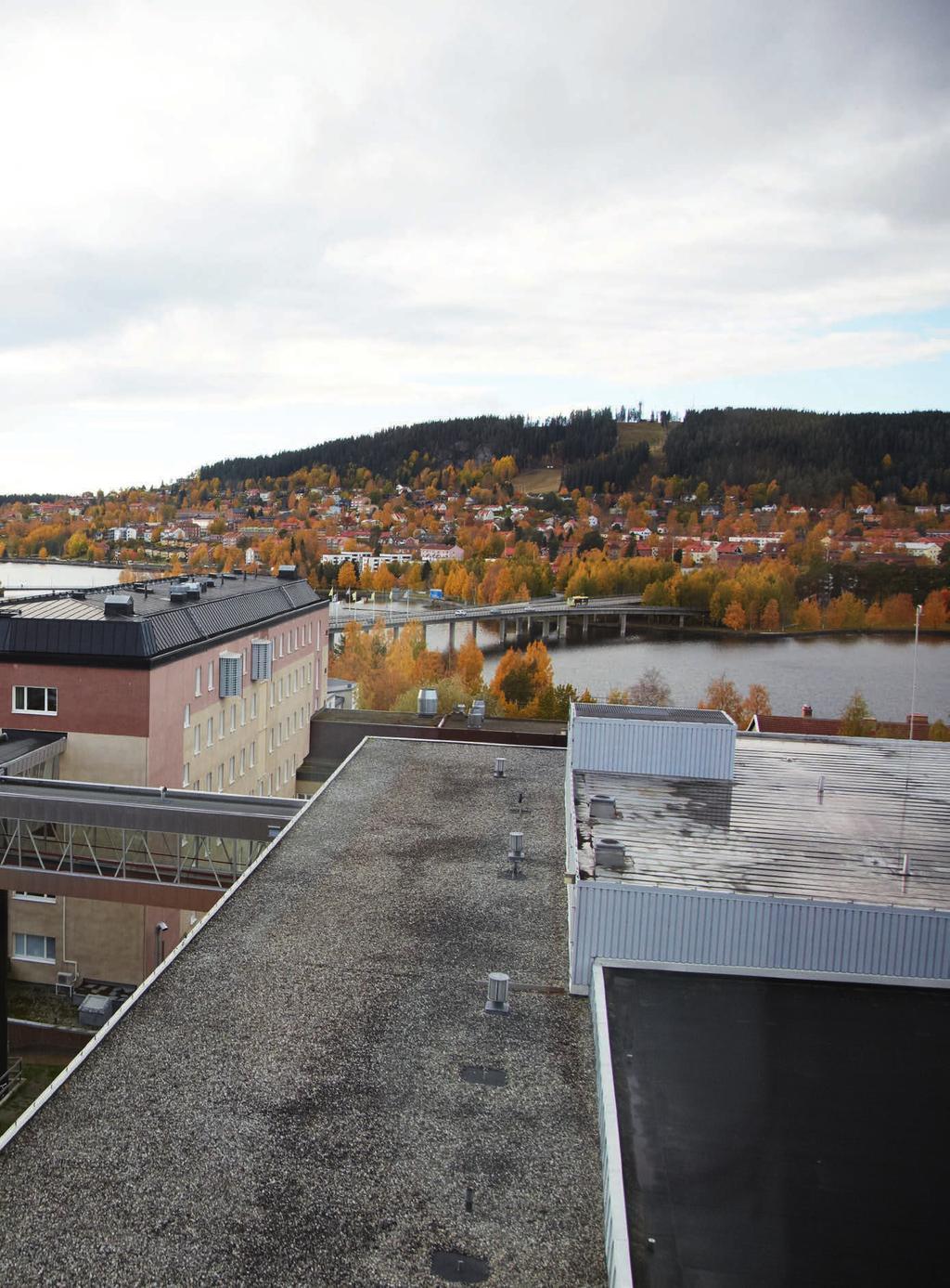 har chans att njuta av utsikten över såväl staden som Storsjön. Klara dagar går det till och med att se snöklädda fjäll härifrån.