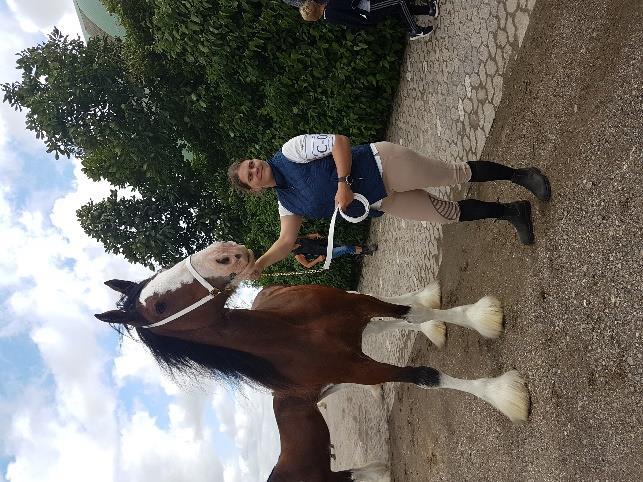 Inriktningen för mitt hästintresse är Clydesdale och jag har ett par clydesdalehingstar och ett sto hemma på gården, stoet Fairy som är min första clydesdale är hästen som älskar att arbeta, vare sig