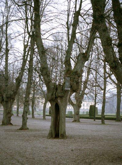 Mats Jonsell & Karin Andersson Figur 8.