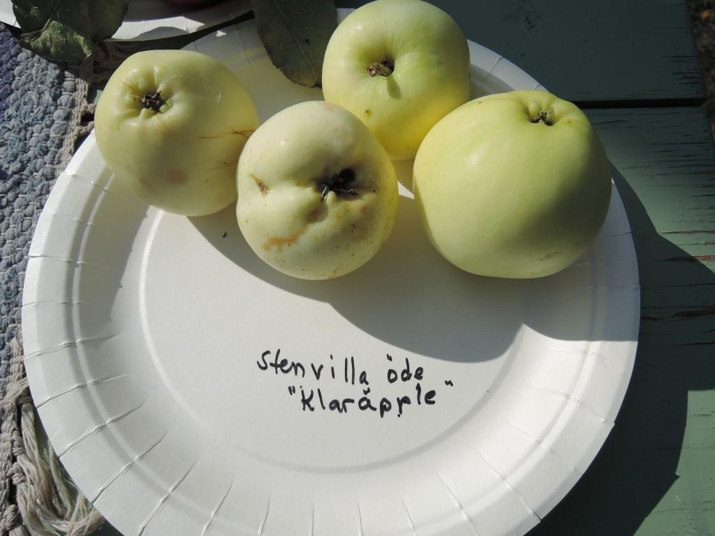 Grönkulla 1: