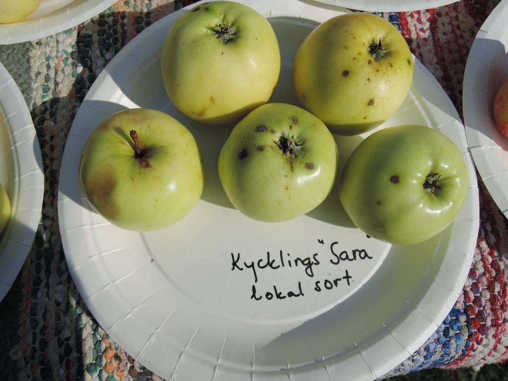 Tallberg-Mickels 2: Okänd