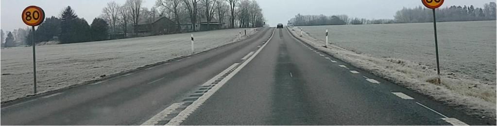 Väg 919 går genom Östgötaslättens odlingslandskap, men åkermarken bryts upp av små skogsområden och bebyggelsegrupper som ger landskapet en mosaikartad karaktär.