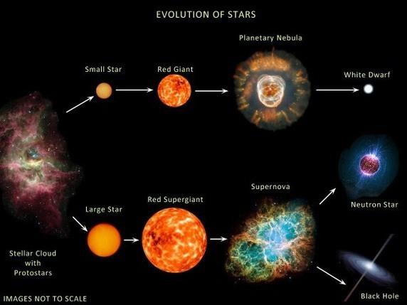 tunga stjärnor ( 10 Msol 100 Msol) Galaktiska