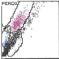 Figur 8a och 8b visar två peroxidas leukocytcytogram från Advia 2120. Analyserna är gjorda på en och samma katts blod, provtaget vid ett tillfälle men med olika antikoagulans.