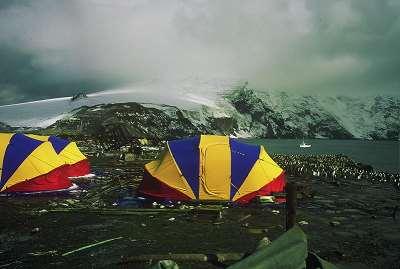 com/photo/60119379 Desecheo Island K5D Ralph