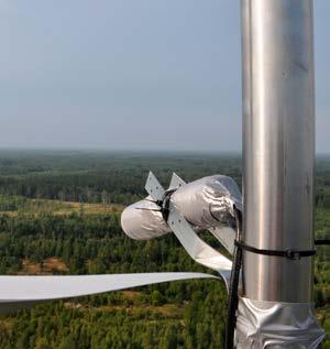 Detektorerna var programmerade så att de var aktiva mellan solnedgång och soluppgång, och triggades automatiskt av kraftiga ultraljud, det vill säga när en fladdermus passerar.