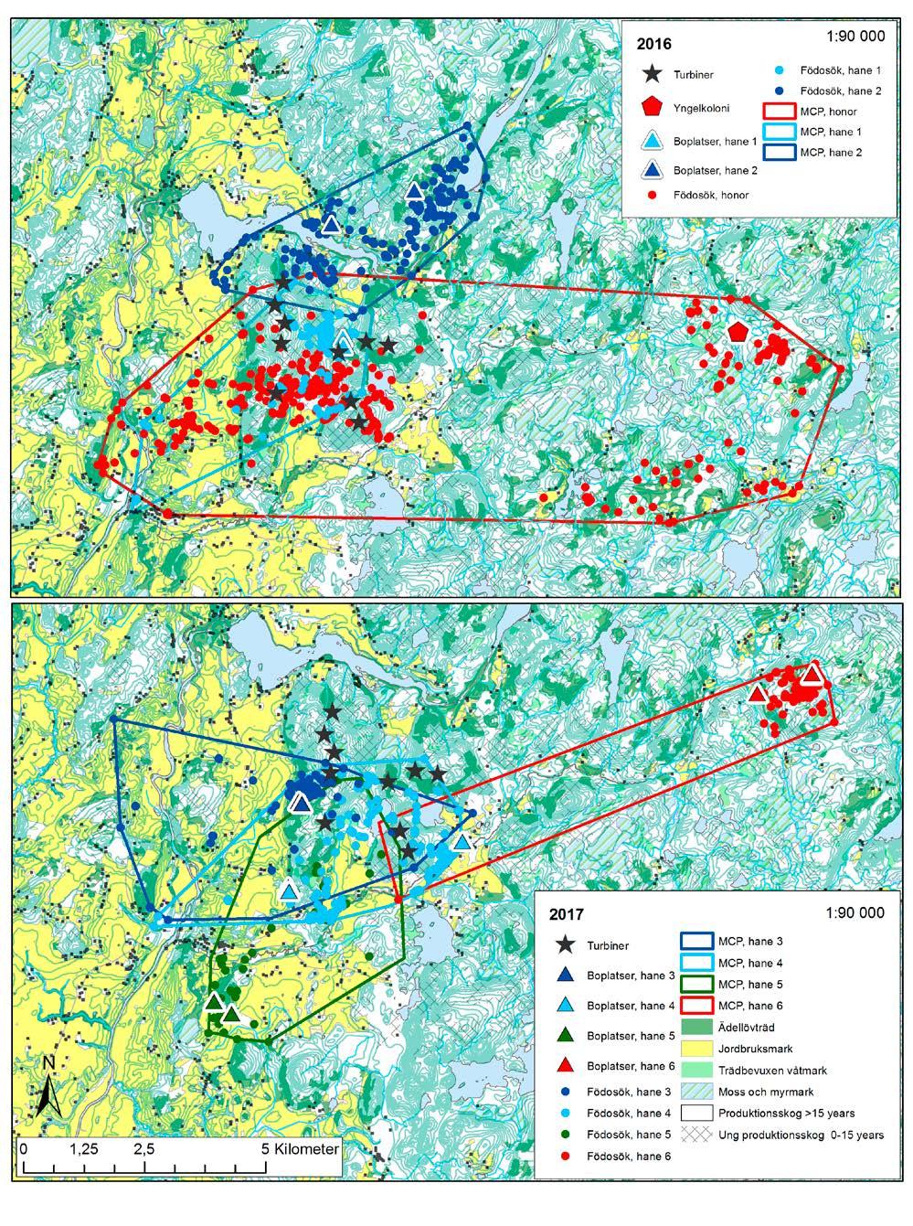 Figur 3.9. Resultatet av radiospårning av åtta diande honor och två hanar vid Askome vindpark juli augusti 2016 (upptill) och fyra hanar 2017 (nedtill).