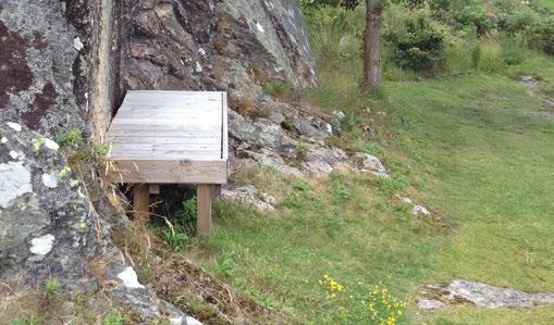 Förslag för natur och rekreation På Norra Instön bör naturen fortsatt letar sig in till husknuten. Otillgängliga naturområden och utsiktsplatser kan bli mer tillgängliga genom nya bostadsområden.