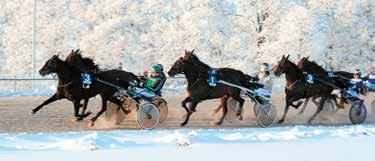 -a:,,0,. -a:,,0,. Lördag januari David Zackrisson V-förslaget: x x x = rader/ kr V- Swing Kronos Protector Montreal Venividivici Karsk Graceman Javier Palema Radetsky Lobell Rally Sven 0 Prosuit V.